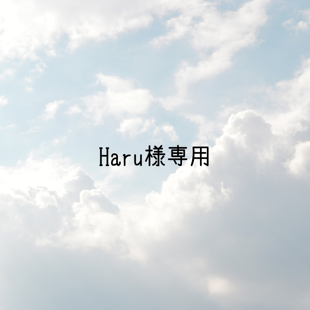 [専用] Haru様12